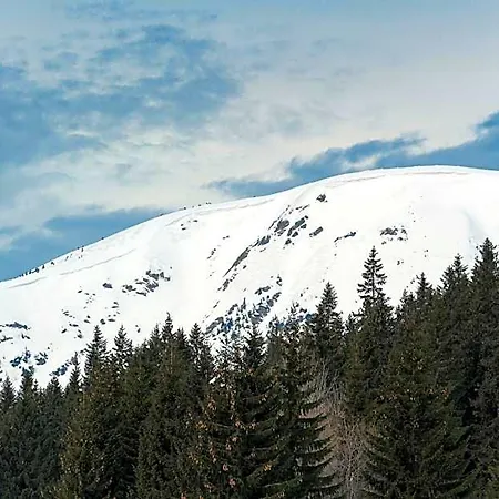 Aldrov 4* Špindlerŭv Mlýn